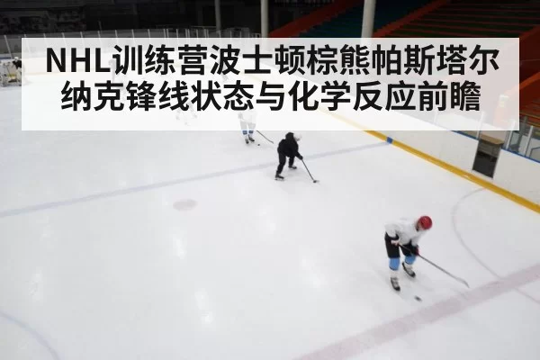 NHL训练营波士顿棕熊帕斯塔尔纳克锋线状态与化学反应前瞻