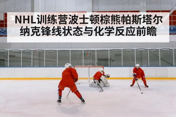 ice hockey players practice